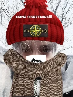 🐈 emoji вова чайка Telegram sticker 5 of 33