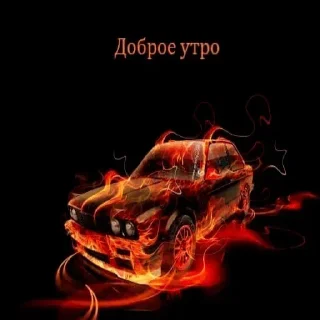 ☀️ emoji этот глупый свин не понимает мечту Юлика-зайки Telegram sticker 11 of 11