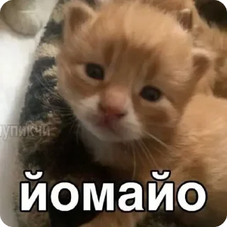 😦 emoji Łączenie niepołączonych :: tos Telegram sticker 14 of 46