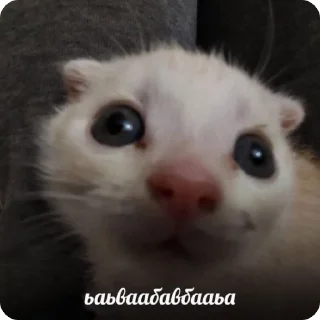 😳 emoji Łączenie niepołączonych :: tos Telegram sticker 20 of 46