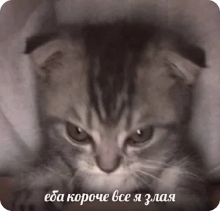😠 emoji Łączenie niepołączonych :: tos Telegram sticker 4 of 46