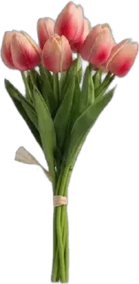 🌟 emoji Цветы :: алексы Telegram sticker 17 of 29
