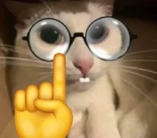 🤓 emoji крутой сигма Telegram sticker 9 of 69