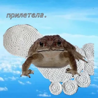 ✈️ emoji Жабья пяточка Telegram sticker 6 of 14