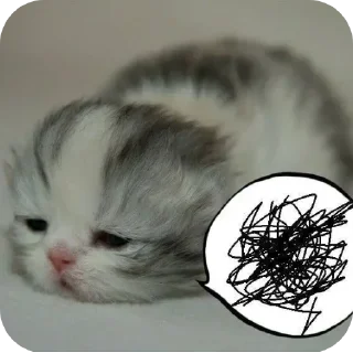 Sticker from @VVS2M ، ڤنم