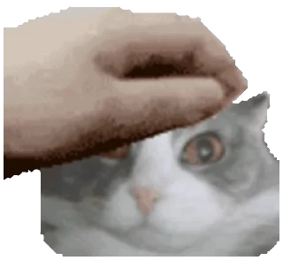 Sticker from Замечательная кошка Марта