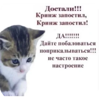 🐱 emoji ДрачоМэн by @stickplusbot Telegram sticker 4 of 109