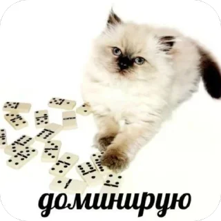 🫥 emoji еблан Telegram sticker 19 of 76