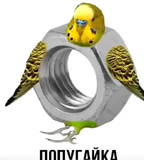 🌟 emoji а чо нічо Telegram sticker 9 of 73