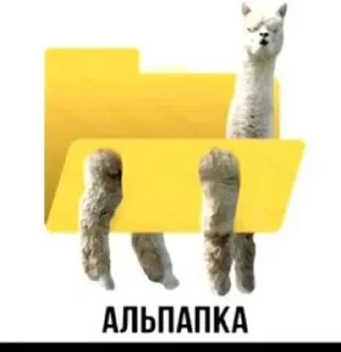 🌟 emoji а чо нічо Telegram sticker 8 of 73