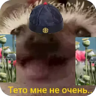 🇨🇳 emoji Ежиная империя Telegram sticker 20 of 25