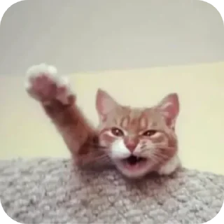 🤚 emoji Д-данечка Telegram sticker 12 of 52