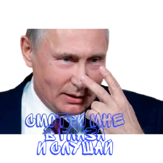 🤬 emoji Putin Telegram sticker 9 of 13