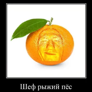 😂 emoji шеф Telegram sticker 6 of 23