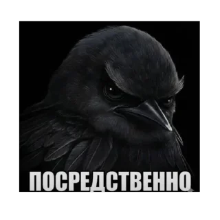 🫥 emoji врядлии птицаа Telegram sticker 16 of 18