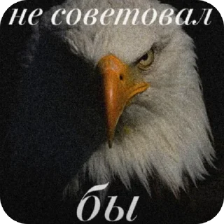 🫥 emoji врядлии птицаа Telegram sticker 14 of 18