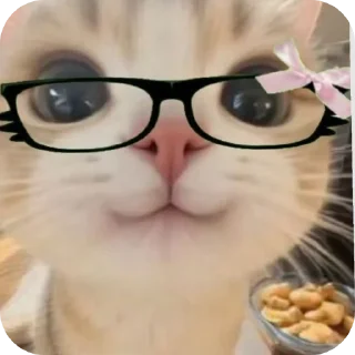 👓 emoji Kitty Telegram sticker 20 of 21