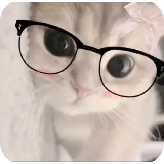 👓 emoji Kitty Telegram sticker 10 of 21