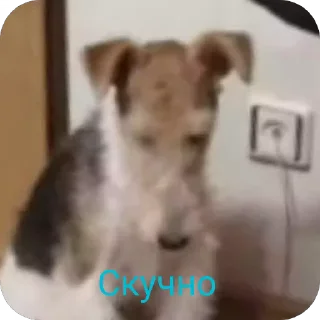 😔 emoji Вкусняшка) @BR0DYACH1Y_ART1ST Telegram sticker 12 of 17