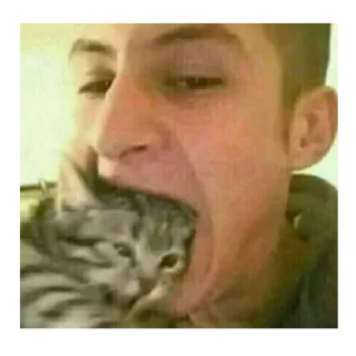 😋 emoji СмЕхУёЧкИ Telegram sticker 8 of 50