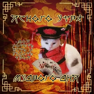 Sticker from тшш котики спят