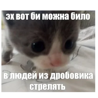 💗 emoji Секс Telegram sticker 16 of 26