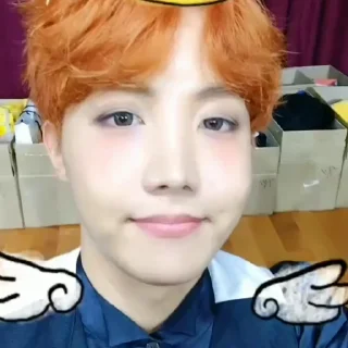 🐿 emoji ㅤ ㅤㅤ 𝗃𝗁𝗈𝗉𝖾 @ffrdal Telegram sticker 9 of 20