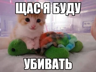🌟 emoji каты Telegram sticker 24 of 35