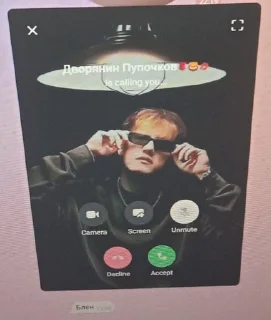 📞 emoji Даня Кашин смешнявки Telegram sticker 5 of 33