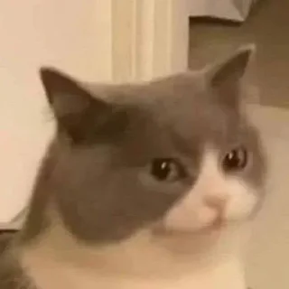 🗿 emoji بجه زمن فركاك وسطح غركان @ax_832 Telegram sticker 15 of 117
