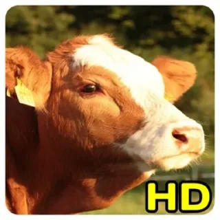 🐮 emoji Треш Telegram sticker 11 of 28