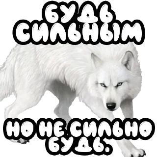 💪 emoji Волки @stickernayaa Telegram sticker 14 of 25