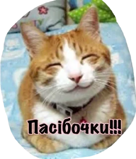 🌟 emoji Катюня стайл Telegram sticker 12 of 33