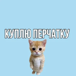 🧤 emoji Коровка🐮 Telegram sticker 5 of 21