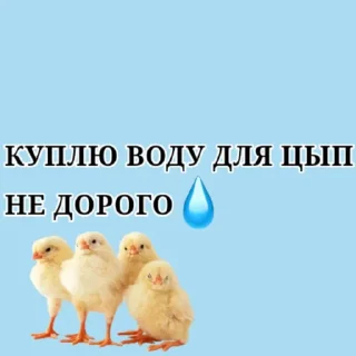 Sticker from Коровка🐮