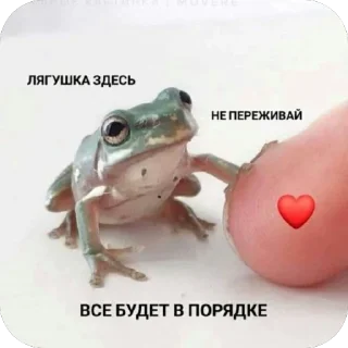 🫥 emoji Лягушка Telegram sticker 15 of 17