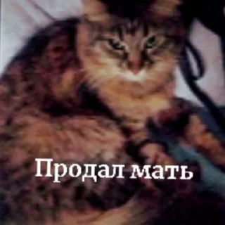 💥 emoji МАСЯ💥💣💥💣💣💥💣💥💣 Telegram sticker 17 of 24
