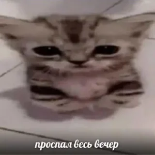 😔 emoji бездарь Telegram sticker 19 of 120