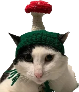 🍄 emoji приятный набор Telegram sticker 21 of 84