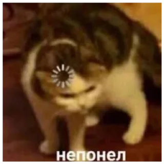 🤨 emoji Nigers dy @Kotik_shlapkin Telegram sticker 10 of 31
