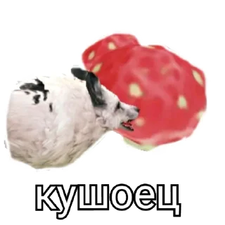 🍓 emoji WildCraft Telegram sticker 8 of 45