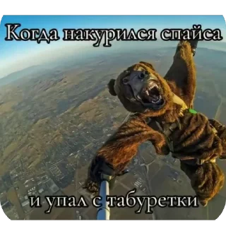 🫥 emoji Для чата Telegram sticker 15 of 37