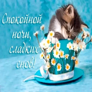 ❤️ emoji Спать- @Tg_stickersu Telegram sticker 24 of 26