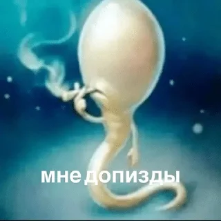 🌟 emoji рандом два Telegram sticker 19 of 46
