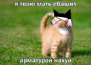 🐱 emoji ранфрен и не только Telegram sticker 8 of 17