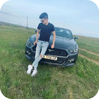🚗 emoji Старый дог Telegram sticker 21 of 68
