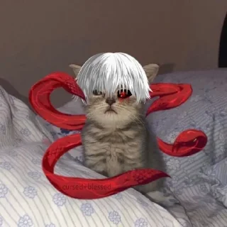 🐱 emoji nigers Telegram sticker 23 of 45