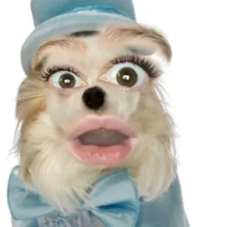 😱 emoji У blue dog Telegram sticker 23 of 33