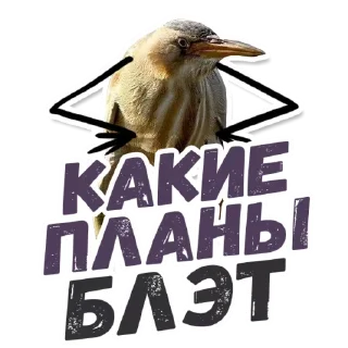 😋 emoji 🙈Are you sure? @stickersb2b Telegram sticker 12 of 21