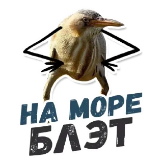 ⛵️ emoji 🙈Are you sure? @stickersb2b Telegram sticker 9 of 21